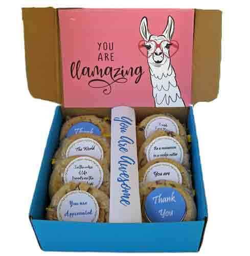 Llama Gift  – Llama and Cookies Gift Box