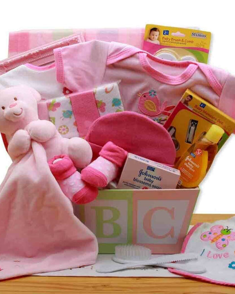 ABC Baby Girl or Boy Gift Basket