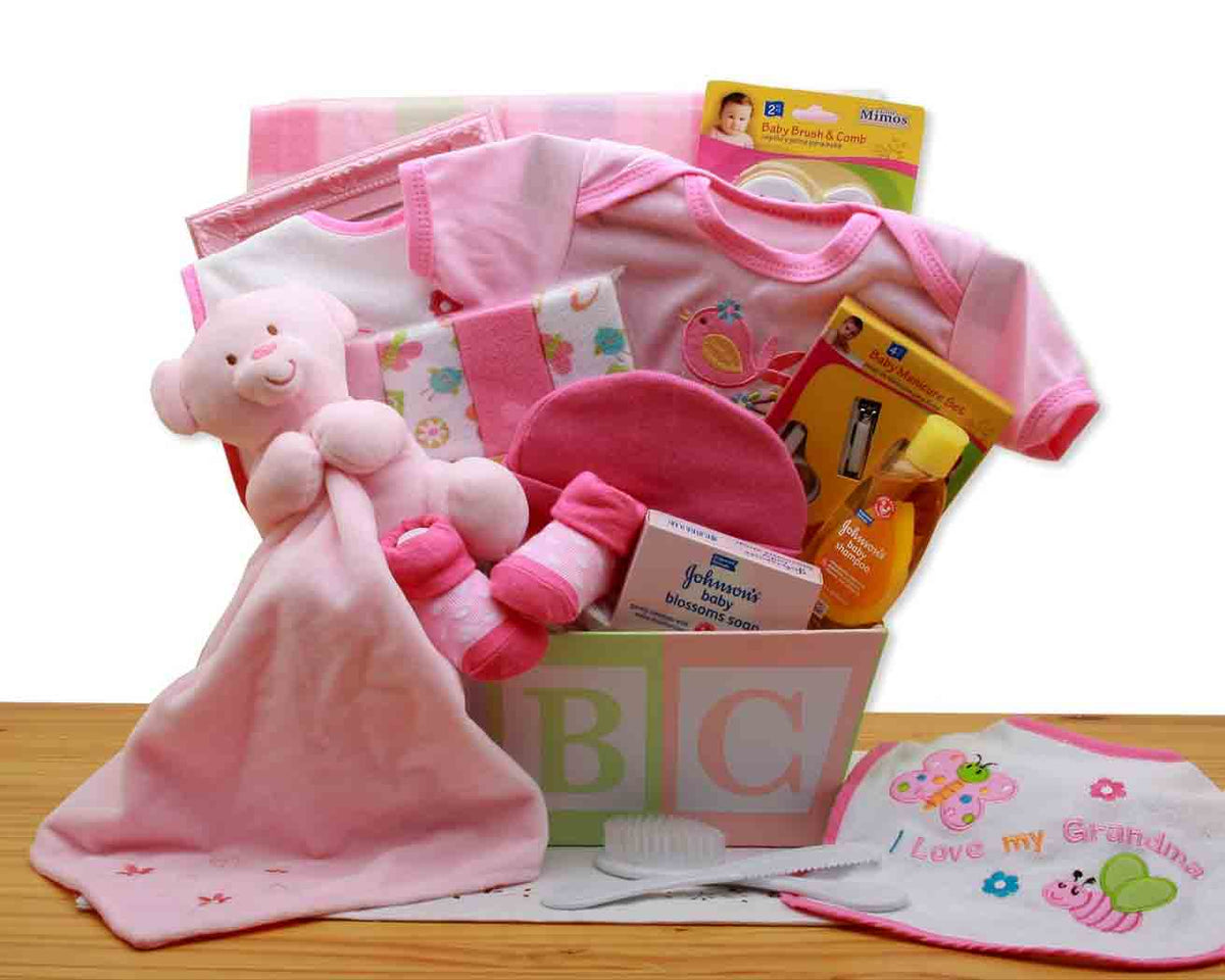 Gift Basket for new baby girl