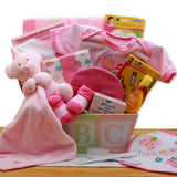 Gift Basket for new baby girl